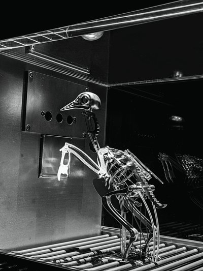 The Machine Zone, 2019 (ocel, hliník, servomotory) od Mat Collishaw