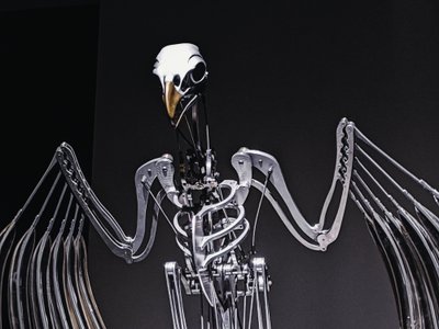 The Nerve Rack, 2019 (acetal, akryl, hliník, mosaz, elektrické obvody, barva, PVC, pryskyřice, servomotory, ocel) od Mat Collishaw