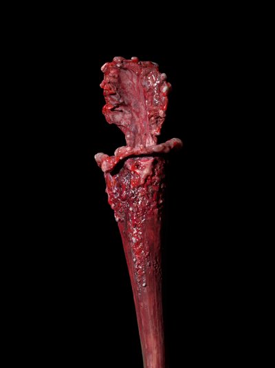 The Venal Muse, Fenside, 2012 (pryskyřice, emailová barva, dřevo, sklo, ocel) od Mat Collishaw