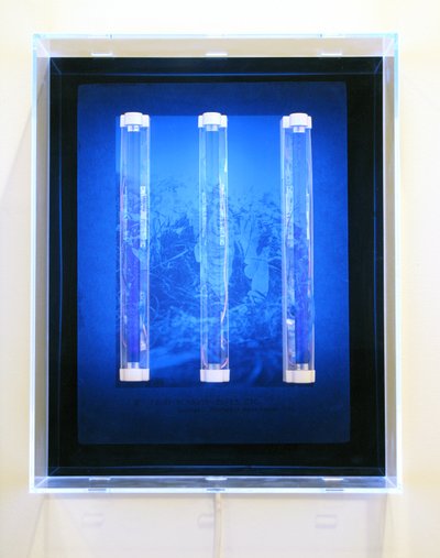 UV zahrada, víla, sluneční lázeň, elfové atd., 2008 (sítotisk na akrylu, UV světlo a svítidla) od Mat Collishaw