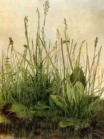 Whispering Weeds, 2011 (dřevěný rám, rámeček, LCD obrazovka, ventilátor a pevný disk) od Mat Collishaw