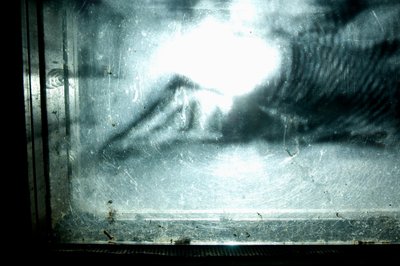 Červík, 2009 (dřevo, sklo, ocel, projektor a přehrávač) od Mat Collishaw