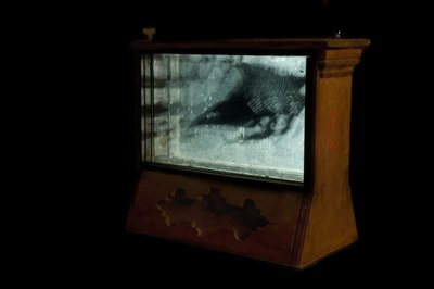 Červík, 2009 (dřevo, sklo, ocel, projektor a přehrávač) od Mat Collishaw