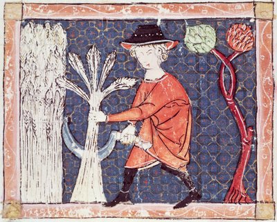 Fol.58v Červenec: Sklizeň od Matfre Ermengaut