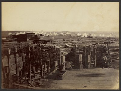 [Opevnění, Manassas, obsazené 13. armádou] od Mathew B. Brady