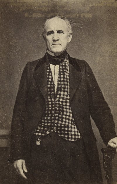Sam Houston, kolem 1860-65 (stříbrný tisk alba) od Mathew B. Brady