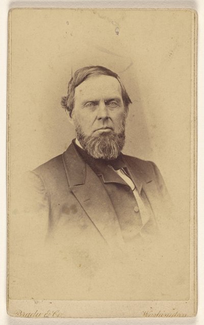 [Neidentifikovaný vousatý muž, vyobrazený ve stylu viněty] od Mathew B. Brady
