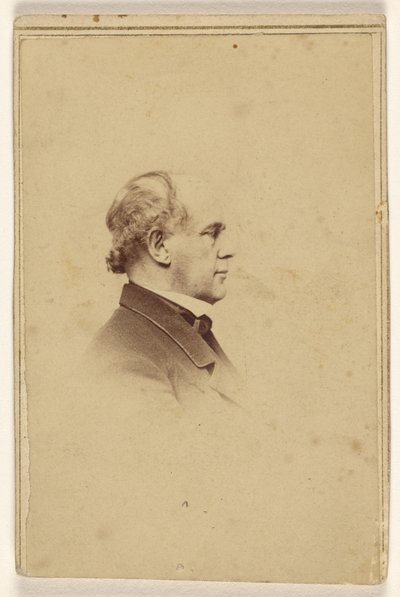 [Neidentifikovaný muž z profilu, vytištěný ve stylu viněty] od Mathew B. Brady