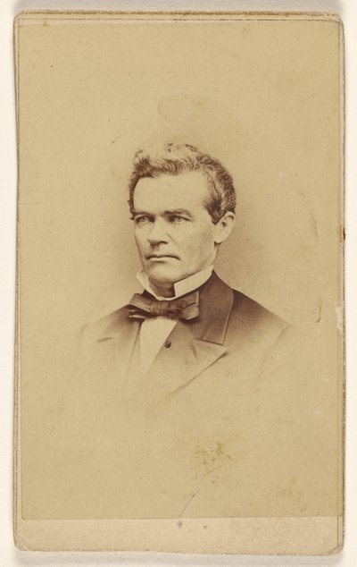 [Neidentifikovaný muž, vyobrazený ve stylu viněty] od Mathew B. Brady