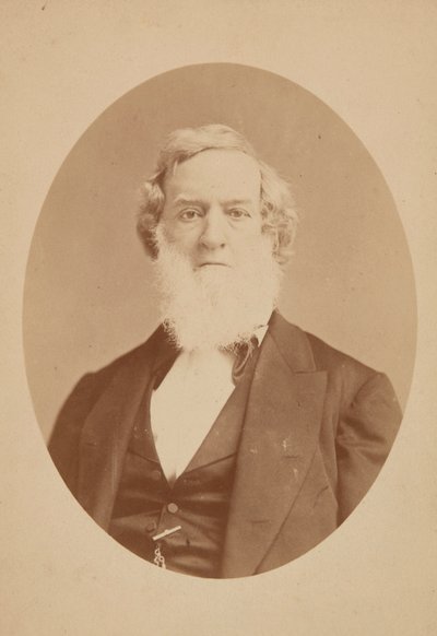 Karta kabinetu Gideona Wellese, 1860-1878. od Mathew Brady