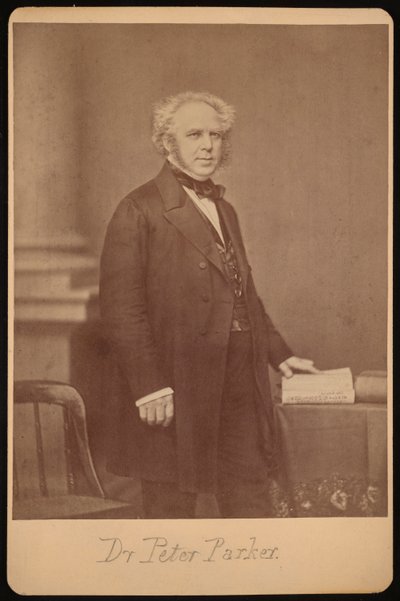 Portrét Petera Parkera 1804-1888, před rokem 1888. od Mathew Brady