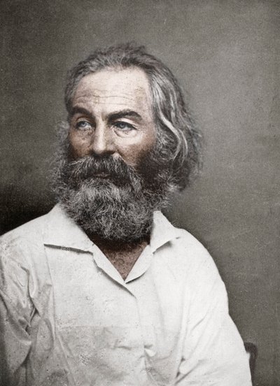 Walt Whitman, americký básník, c1880. od Mathew B. Brady