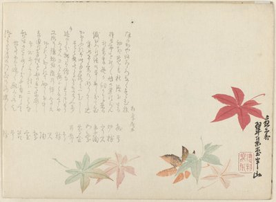 Japonský javor od Matsukawa Hanzan
