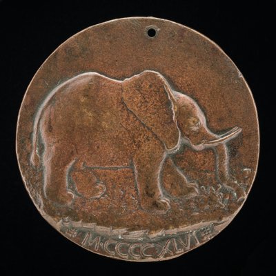 Slon Malatesta na louce [reverse], 1446. od Matteo di Andrea de Pasti