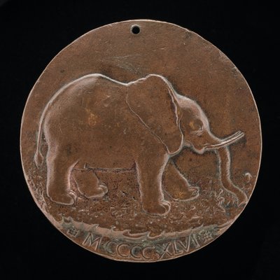 Slon Malatesta na louce [reverse], 1446. od Matteo di Andrea de Pasti