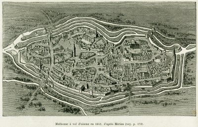 Závěsný od Matthaus the Elder (after) Merian