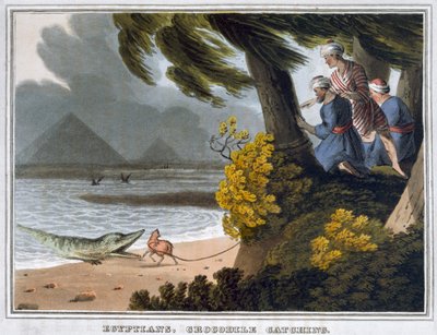 "Egypťané, chytání krokodýlů", 1813 od Matthew Dubourg