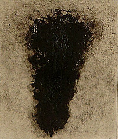 ossie, 2009 (heliotisk) od Matthew Hilton