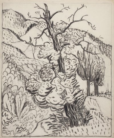 Strom na svahu hory, asi 1930 (štětec, tuš a uhel na bělavém vliesovém papíře) od Maud Hunt Squire