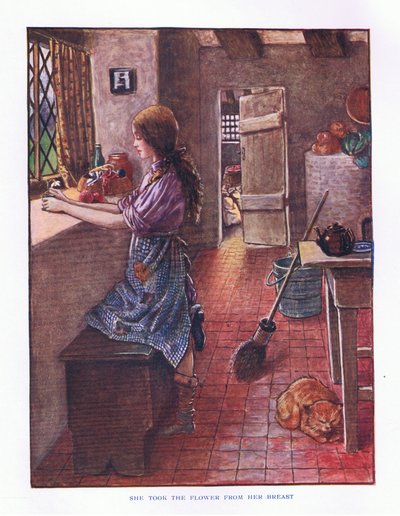 Vzala květinu z prsou, ilustrace z Lady And Fairy Tales, 1914 od Maud Tindal Atkinson