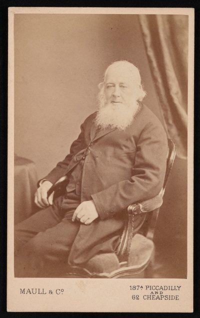 Portrét Johna Goulda 1804-1881, před rokem 1875. od Maull and Co