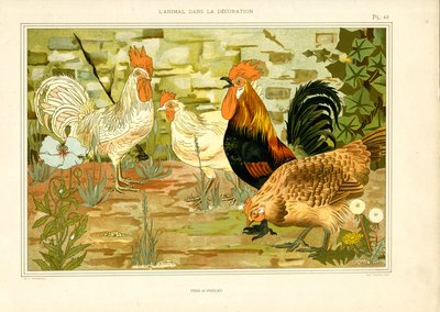 Naturalistické zobrazení kuřat a kohoutů (litografie) od Maurice Pillard Verneuil