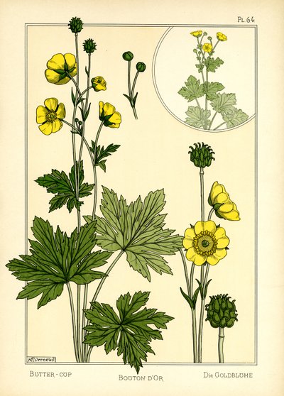 Buttercup (barva lito) od Maurice Pillard Verneuil