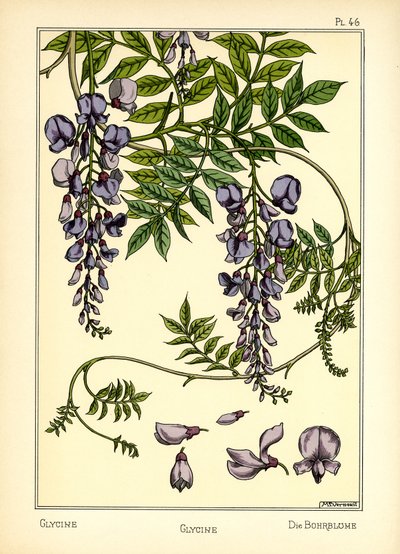 Glycin (barva litho) od Maurice Pillard Verneuil