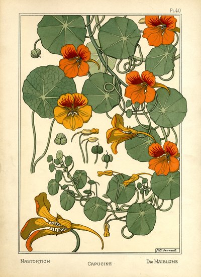 Nasturtium (barevné lito) od Maurice Pillard Verneuil