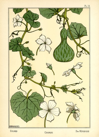 Dýně (barva lito) od Maurice Pillard Verneuil