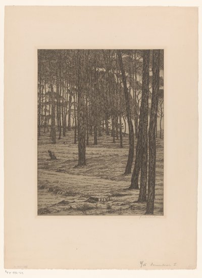 Dennenbosch I (původní název na objektu) Bos (původní název) od Maurits van der Valk (signed by artist)