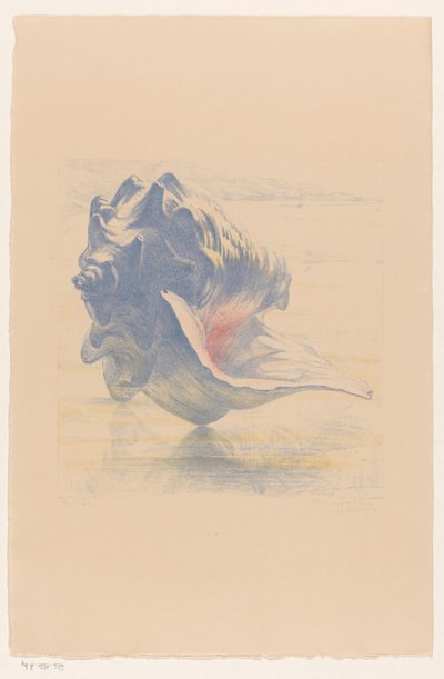 Shell od Maurits van der Valk (signed by artist)