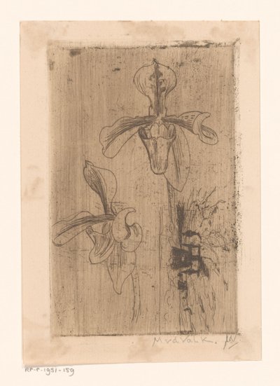 Dvě orchideje a vozík na pláži od Maurits van der Valk (signed by artist)