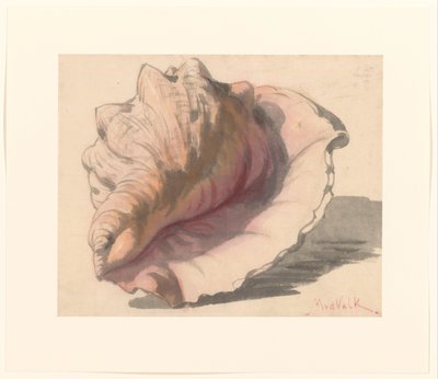 Shell od Maurits van der Valk