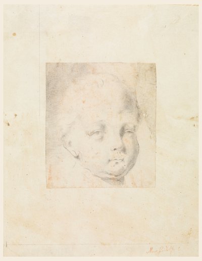 Kresba, Studie: Hlava chlapce, 1810-34 od Mauro Gandolfi