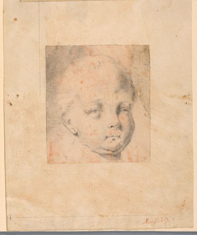 Kresba, Studie: Hlava chlapce, 1810-34 od Mauro Gandolfi