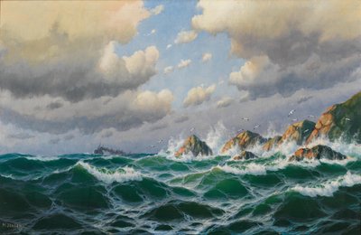 Německy: Parník u bouřlivého pobřeží od Max Jensen