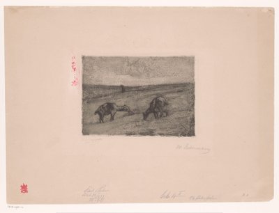 Krajina s pasoucími se kozami od Max Liebermann (signed by artist)