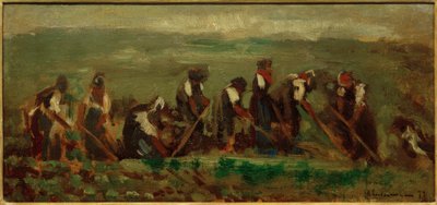 Dělníci na řepařském poli - studium složení od Max Liebermann