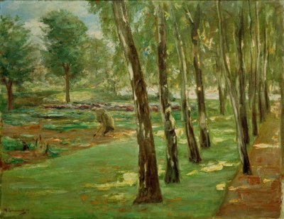 Březová alej v zahradě Wannsee - pohled na zelí od Max Liebermann