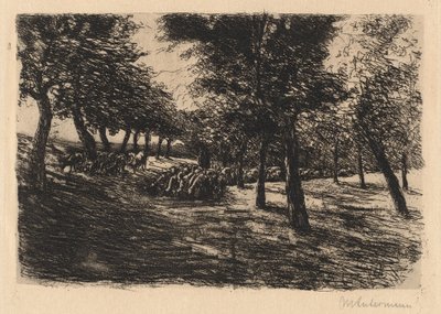 Stádo ovcí pod stromy, 1891. od Max Liebermann