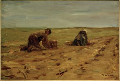 Sklizeň brambor v dunách od Max Liebermann