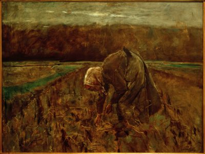Sběrač brambor od Max Liebermann