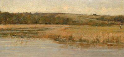 Hill and Marshland, konec 19.-začátek 20. století. od Max Weyl