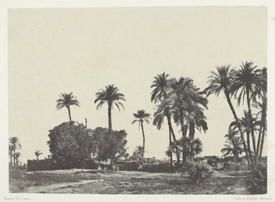Vesnice Hamameh, Horní Egypt od Maxime Du Camp