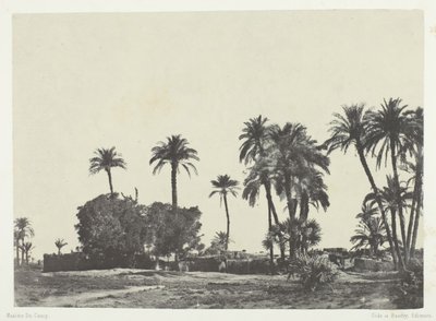 Vesnice Hamameh, Horní Egypt, 184951, vytištěno 1852. od Maxime Du Camp