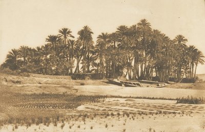Pohled na Elephantine Island, naproti Asuánu, 1849-50. od Maxime Du Camp