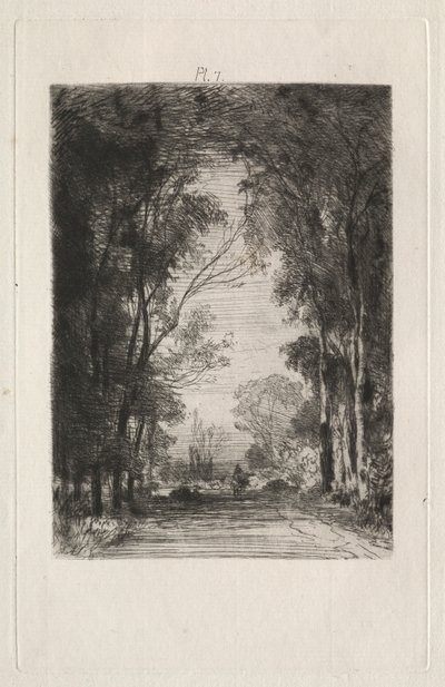 Traveler on a Road in a Forest   1310924   cs       czech Successfully Translated  Original: Portrait of a Man, from "Etchings of Pictures in the Metropolitan Museum, New York" Translat: Portrait of a Man, from "Etchings of Pictures in the Metropolitan Mus od Maxime Lalanne
