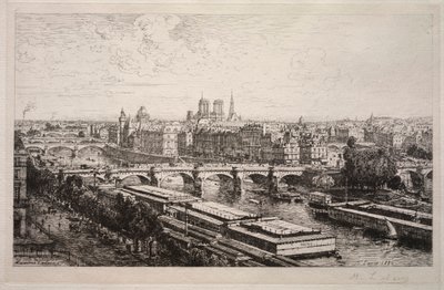 Pohled z Louvru, 1882. od Maxime Lalanne