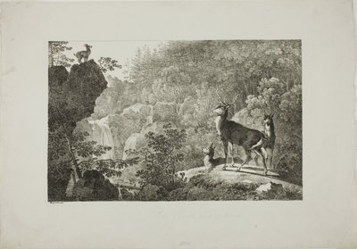 Jelen a kamzík od Maximilian Josef Wagenbauer